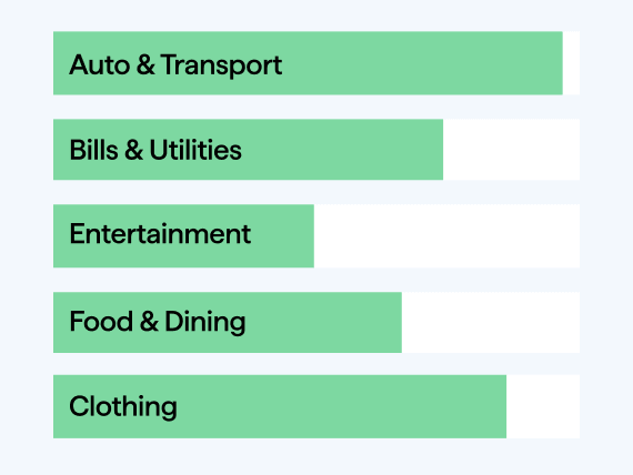 A set of horizontal budget bars showing spending progress for categories including Auto & Transport, Bills & Utilities, Entertainment, Food & Dining, and Clothing.